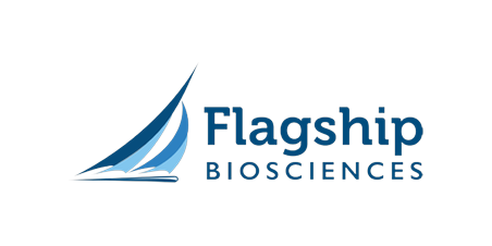 Flagship Resized Logo2 logo