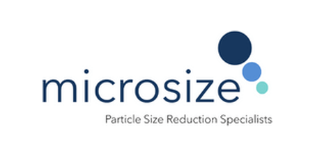 Microsize logo
