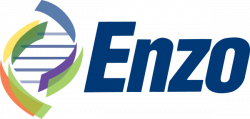 logoenzo